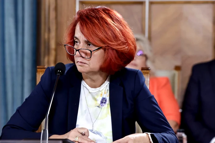 Ioana Dogioiu, purtător de cuvânt al Guvernului FOTO: Guvernul României