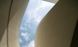 „Totul e doar muncă de adaptare” jpeg