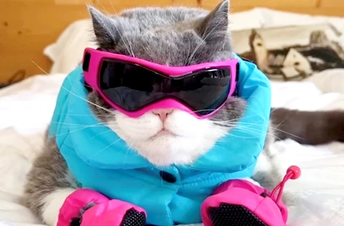 Todd a fost echipat corespunzător (Foto: Profimedia)