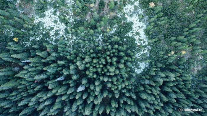 Retezat. Foto: Daniel Guță. ADEVĂRUL