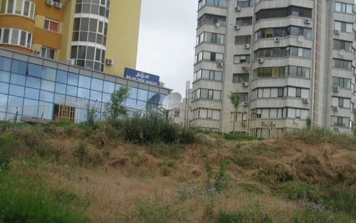 Construcţiile haotice au afectat malul Dunării. Foto: Corina Misăilă