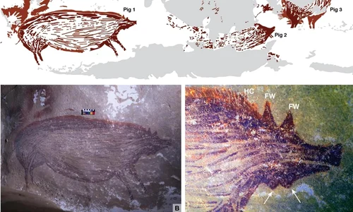 Imaginea unui porc sălbatic, cea mai veche pictură din lume, descoperită în Sulawesi | FOTO jpeg