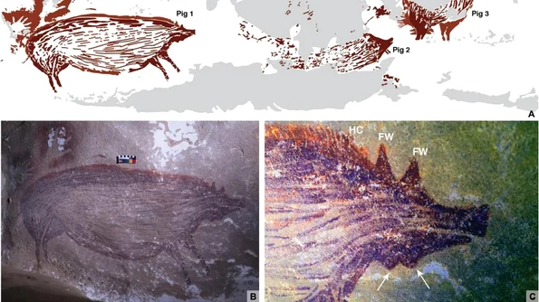 Imaginea unui porc sălbatic, cea mai veche pictură din lume, descoperită în Sulawesi | FOTO jpeg