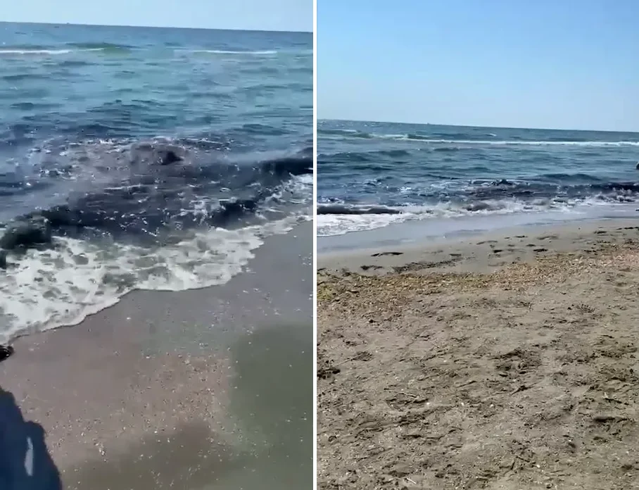 Alertă ecologică pe litoral. Turiștii reclamă apă de culoare neobișnuită și miros puternic