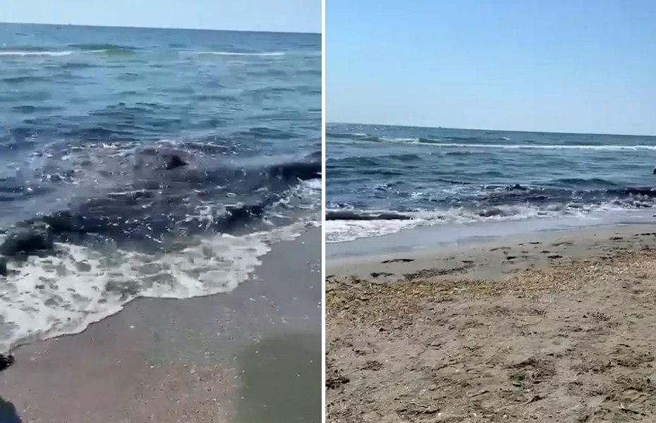 Alertă ecologică pe litoral. Turiștii reclamă apă de culoare neobișnuită și miros puternic