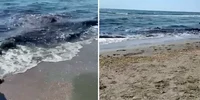 FOTO Captură video Observator Constanța