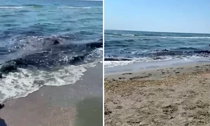 FOTO Captură video Observator Constanța