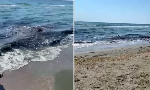 FOTO Captură video Observator Constanța