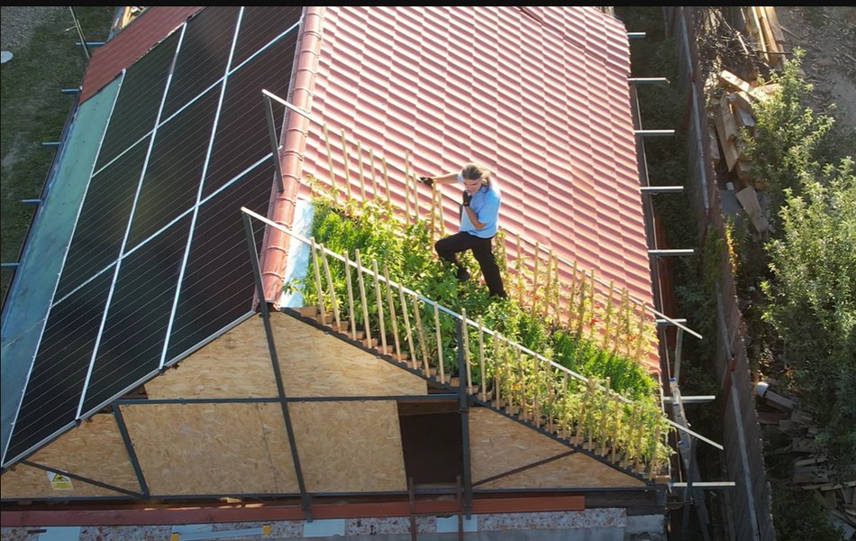 Grădină de legume și panouri solare, pe post de acoperiș. Investiția multifuncțională a unui informatician din Alba