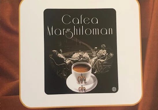 SURSA Irina Vlăducă Marghiloman