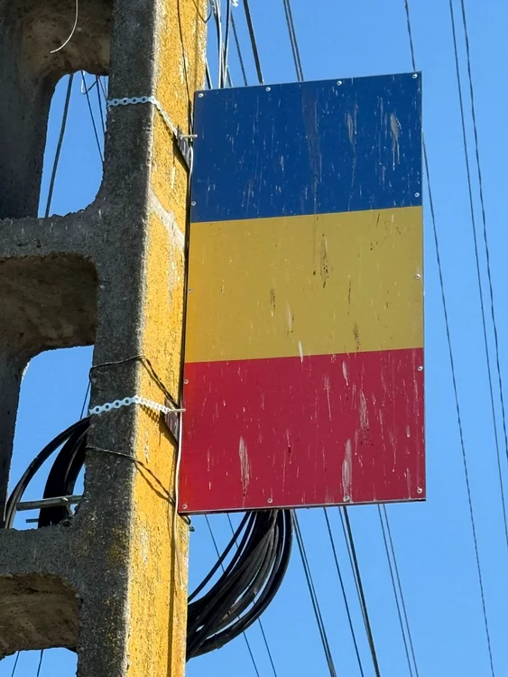 „Drapelul României” este murdărit cu găinaț de barză. FOTO: Ion Pop 