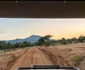 Imagini surprinse de cei doi vloggeri români din Zambia, Africa. Foto: Instagram