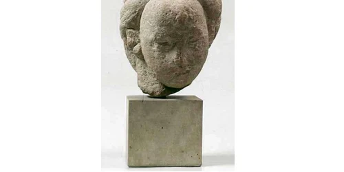 danaida brancusi