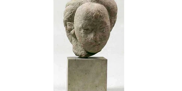 danaida brancusi