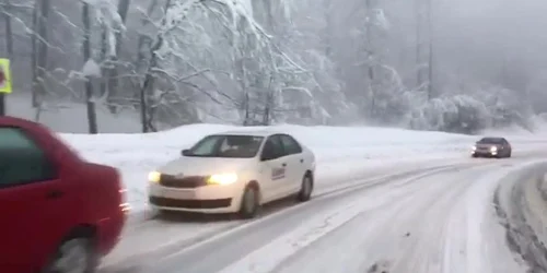 5c419c60df52022f75bf9e4e jpg