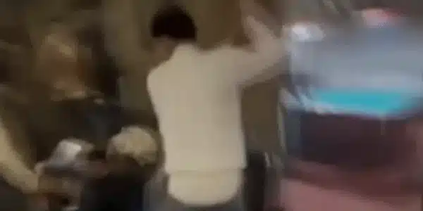 Bataie in bar gif