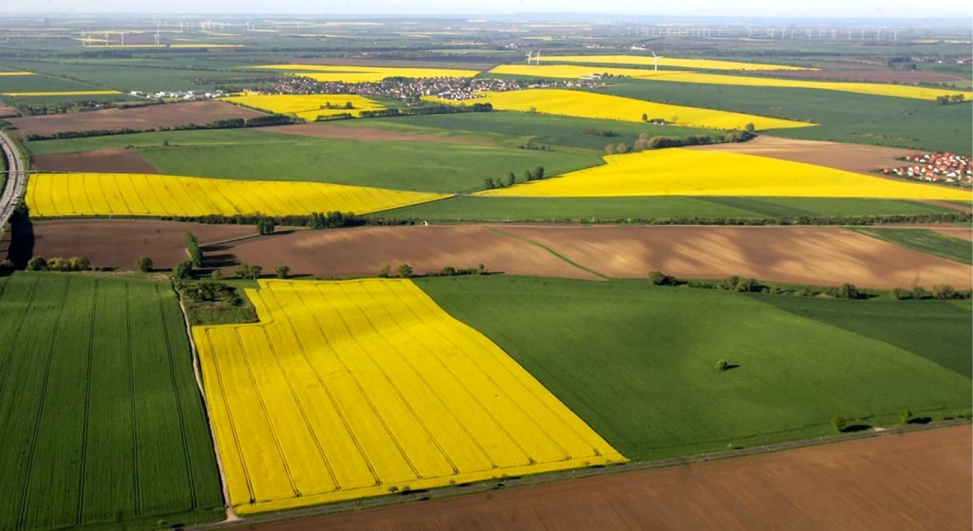 De trei ani de zile, agricultorii din Satu Mare nu au ales această metodă FOTO arhivă