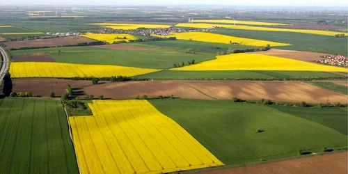 culturi pentru biocombustili uniunea europeana 