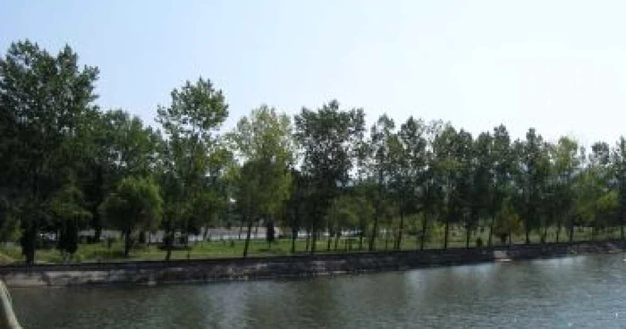 Râmnicu Vâlcea: A plonjat în râul Olt, cu doi copii în maşină - Adevarul la minut
