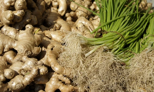 1 remedii naturale jpg jpeg