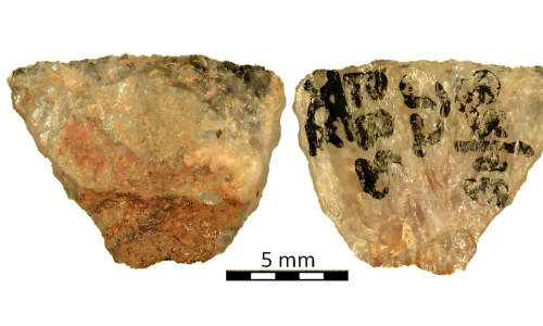 worlds oldest arrow poison 1 webp