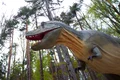 dino parc jpg