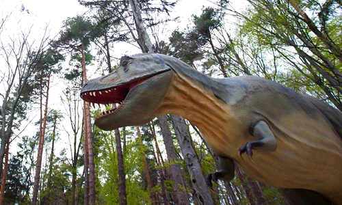 dino parc jpg