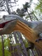 dino parc jpg