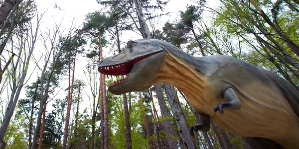 dino parc jpg