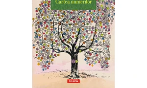 Avanpremieră editorială: Cartea numerilor jpeg