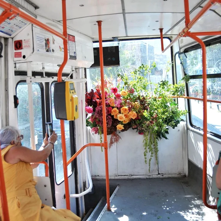 Tramvai cu flori