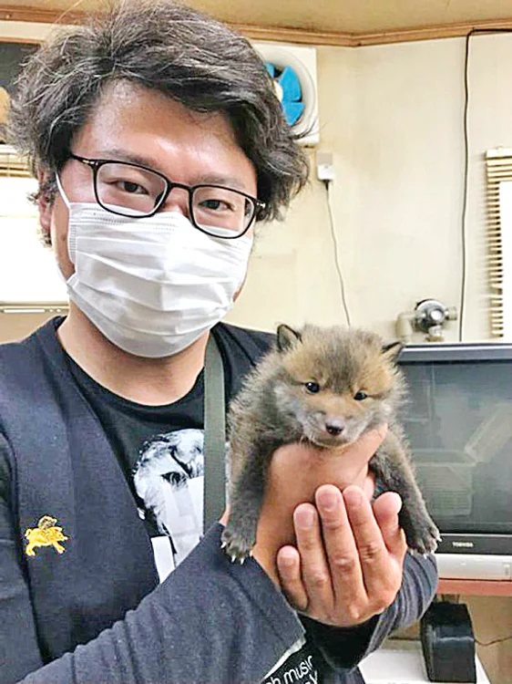 Înainte de a se “transforma” în animal