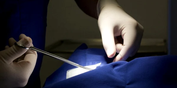 chirurgie foto homepuzz.com