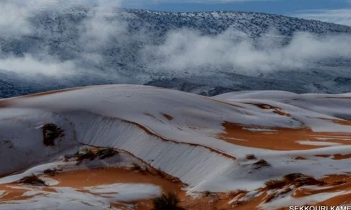 Dunele de nisip ale Saharei, acoperite cu zăpadă VIDEO jpeg