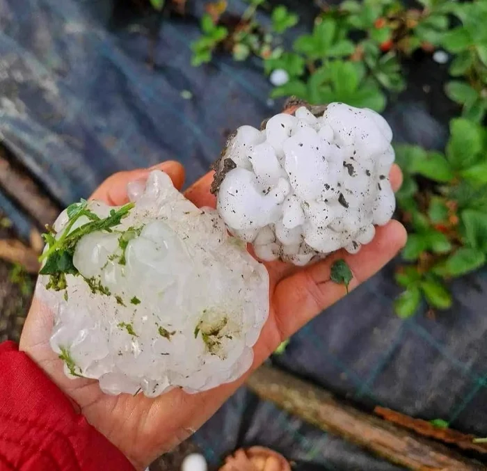 Grindină cât o minge de tenis- Iași - Foto Facebook MeteoPlus