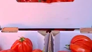 WhatsApp Video 2026 06 11 at 17 33 33 mp4 thumbnail png