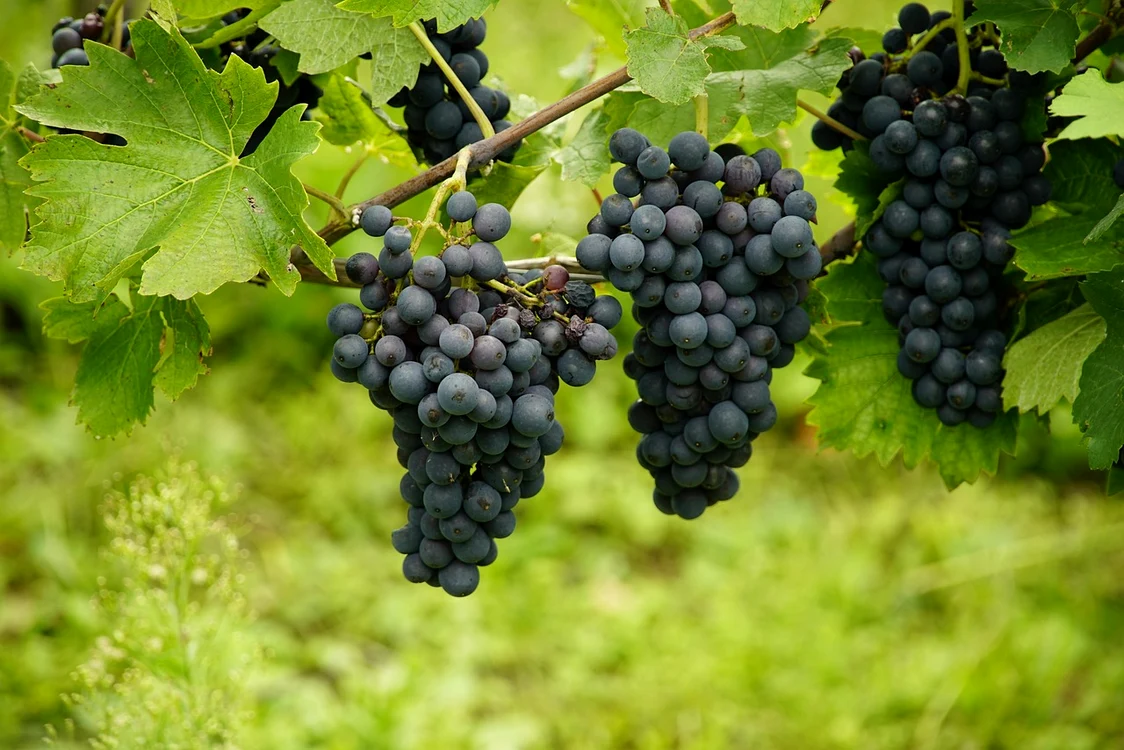 La vie în Spania se câștigă bine / foto: Pixabay