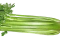 celery 3410302 640 png