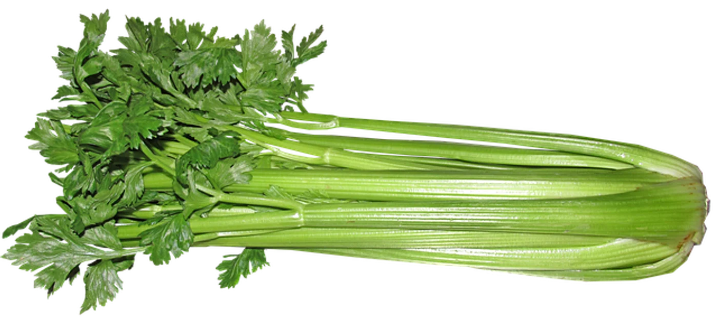 
    Frunzele de țelină pot fi folosite pentru cataplasme contra durerilor reumaticeFoto: pixabay.com  