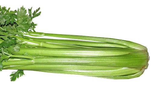 celery 3410302 640 png