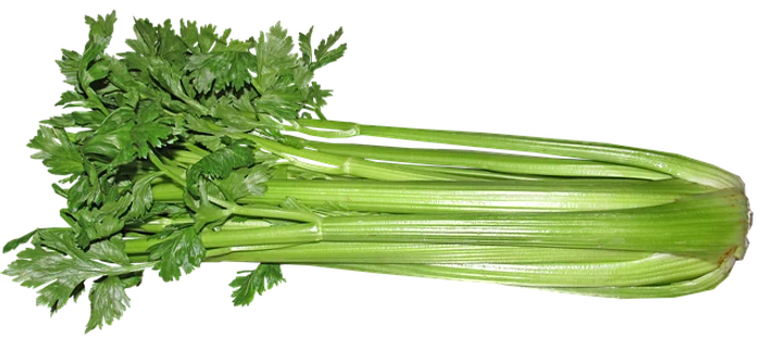 Frunzele de țelină pot fi folosite pentru cataplasme contra durerilor reumaticeFoto: pixabay.com