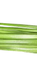 celery 3410302 640 png