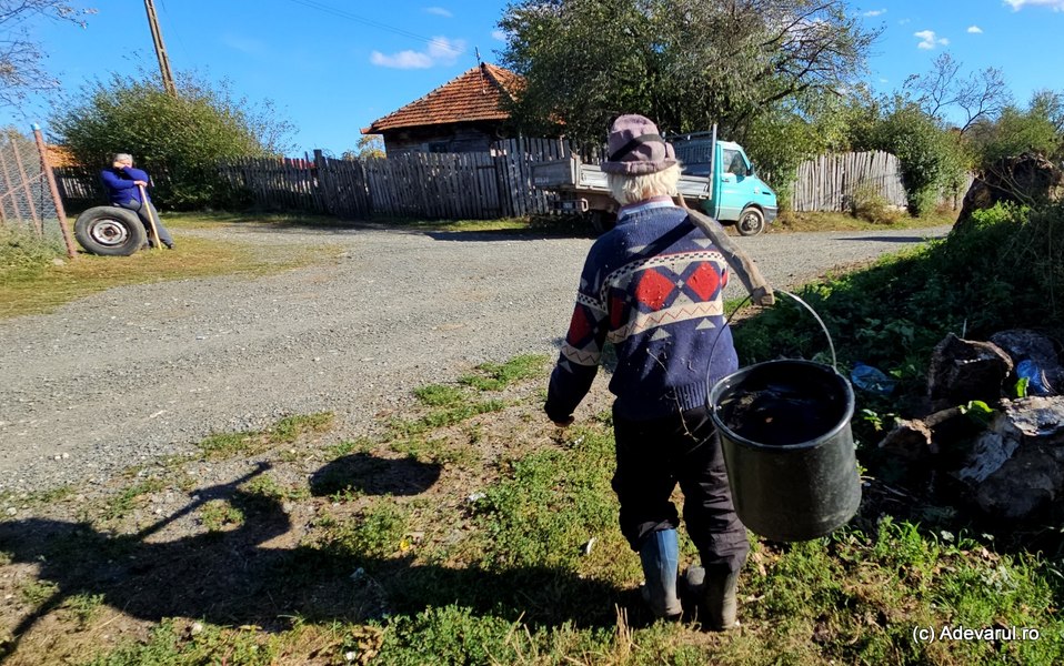 Uluirea unui tânăr ajuns într-un sat după alegeri: „IT-istul nu are ce-i face vreunuia dintre aceștia, călit, dacă ajung la bătaie pe conserve”