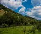 Valea Mare 3