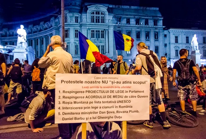 revendicari protestatari 
