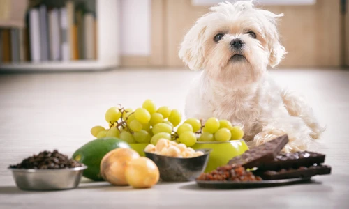 1 shutterstock 789849784 jpg jpeg