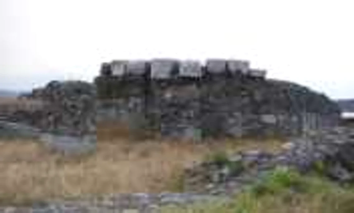 cetatea severinului