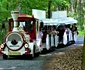 Trenulețul turistic pe roți Dotto din Băile Olănești Vâlcea Foto Gaby Henning jpg