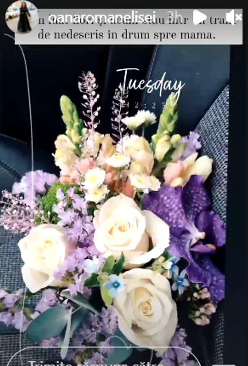 Captură ecran (64) png