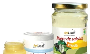 Laptisor de matca si miere cruda Apiland jpeg